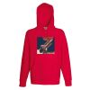 Lightweight hooded sweatshirt Thumbnail